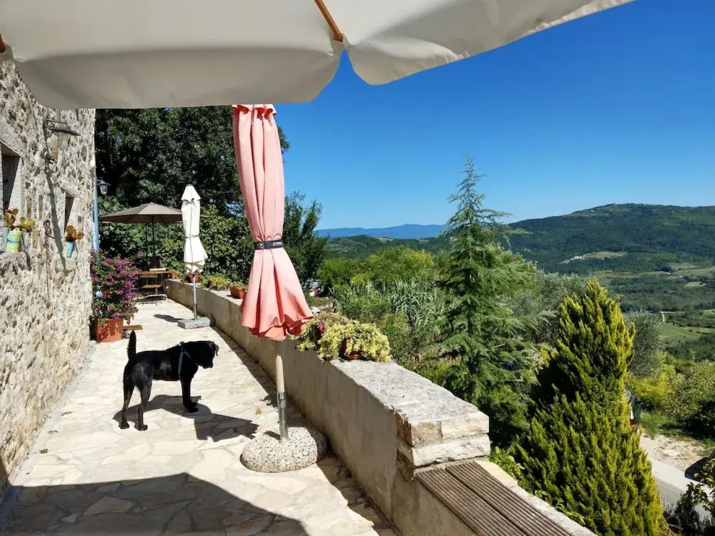 Ruine Gartenresidenz