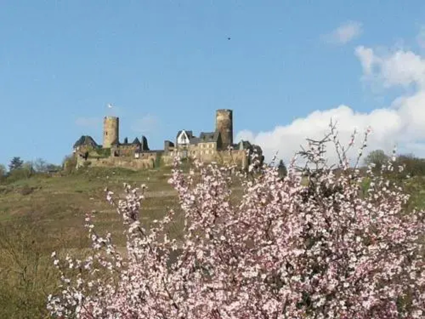 Winzerhof Brachtendorf