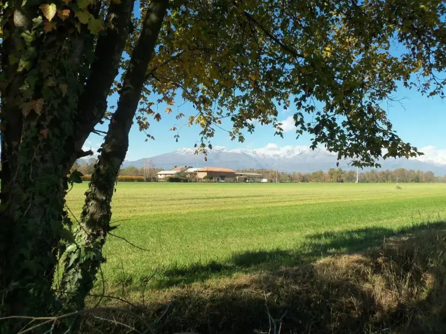 Fattoria Delle Rose