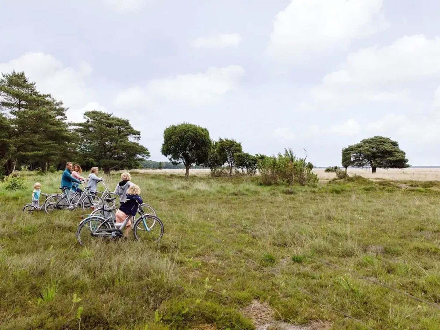 Nature Retreat in Drenthe