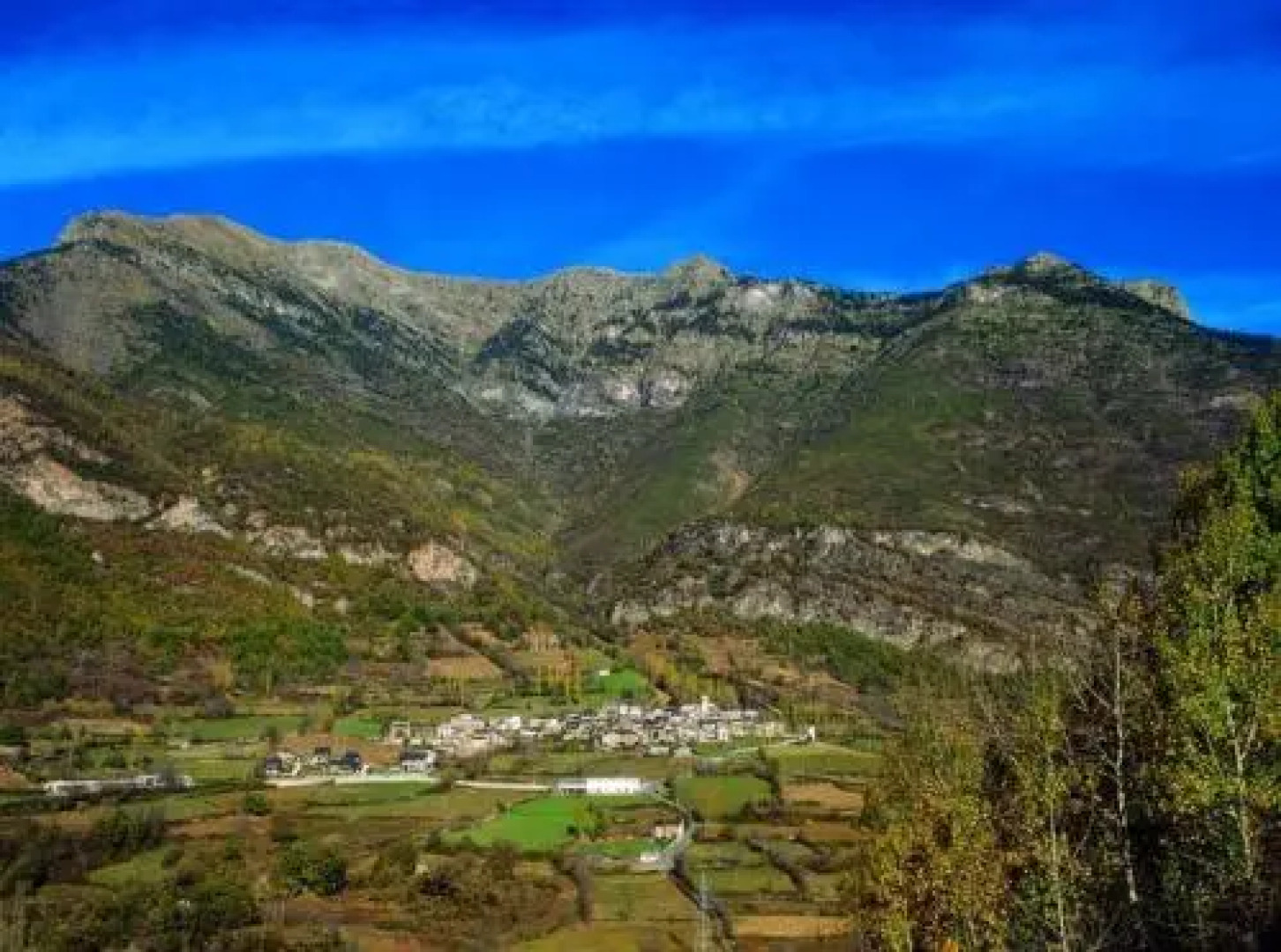 Apartamentos Casa Riu