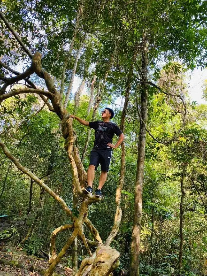 Forest Side eco lodge