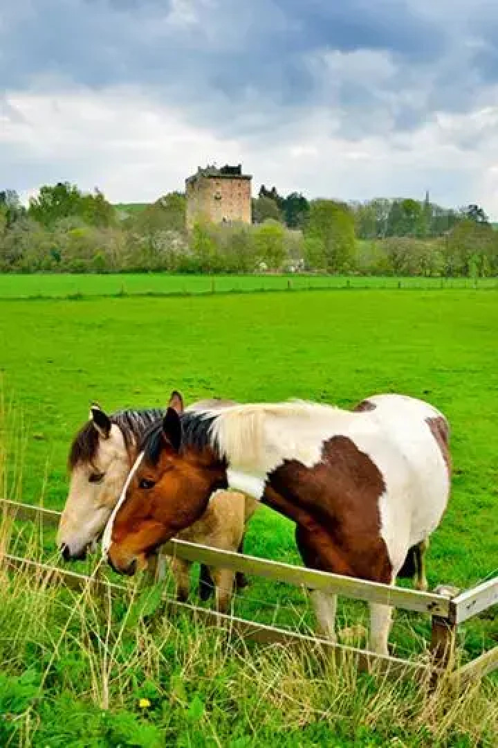 The Arches, Borthwick Mains Farm,