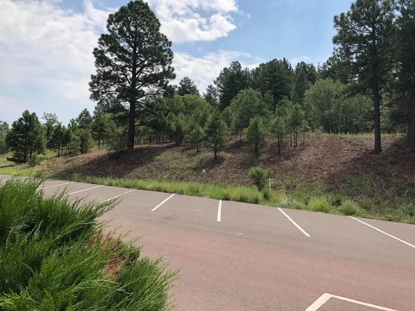 Days Inn by Wyndham Williams