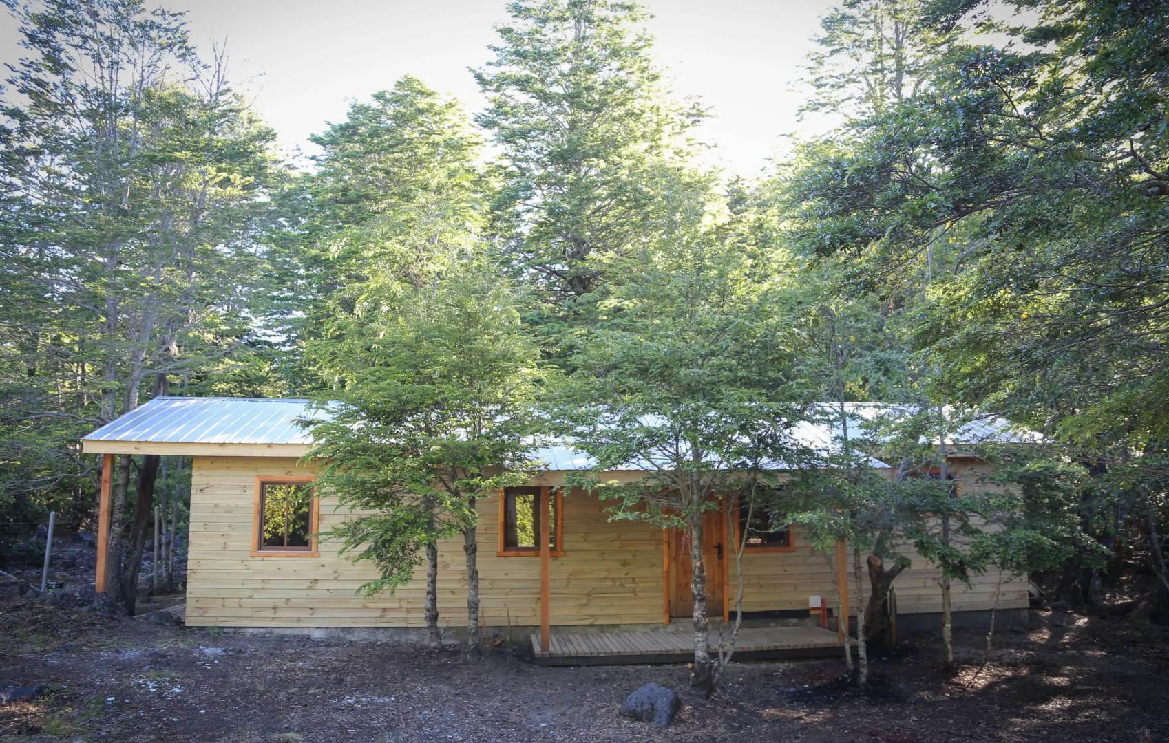 Llaima Camp