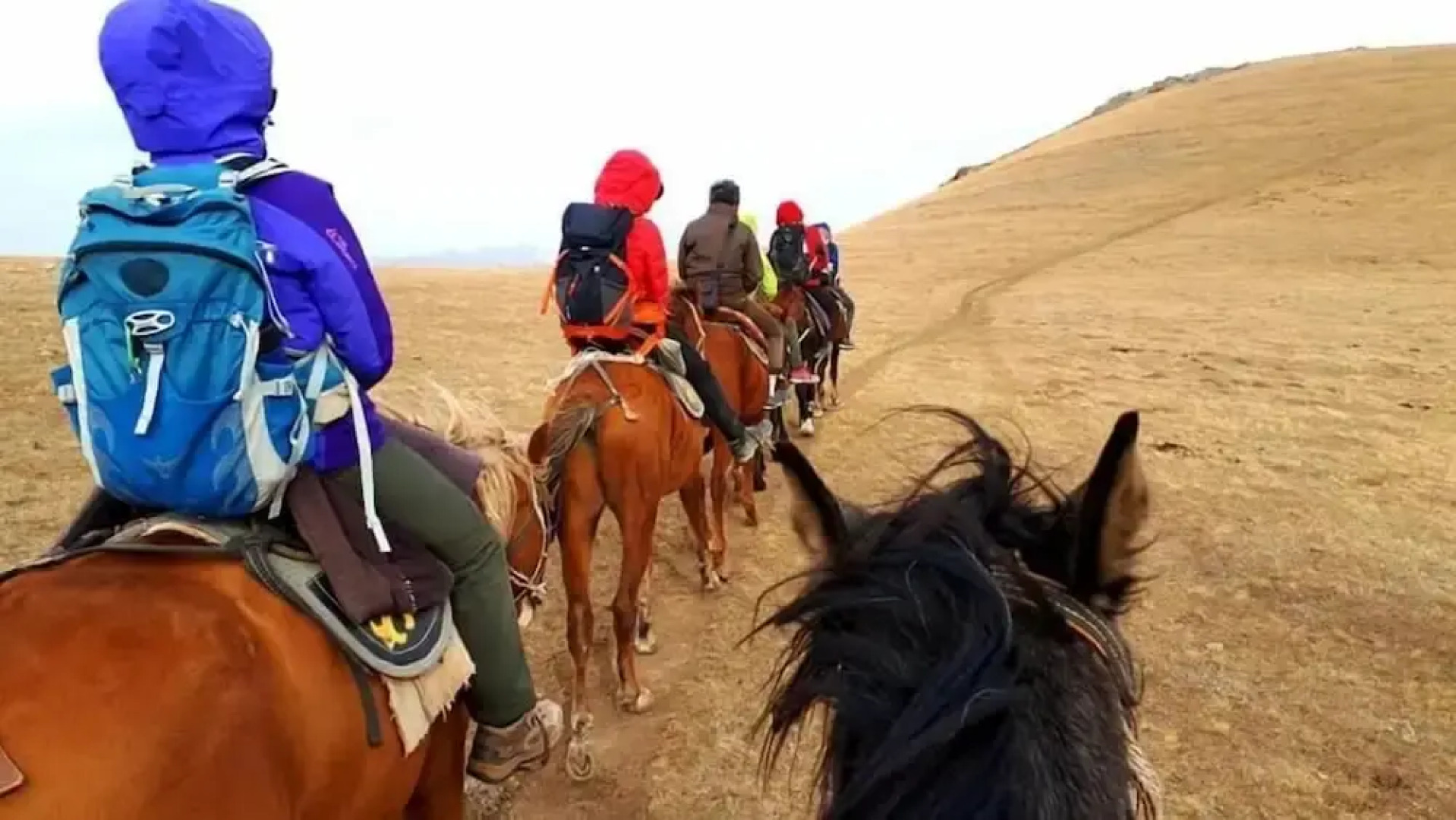 Хостел Vacation House