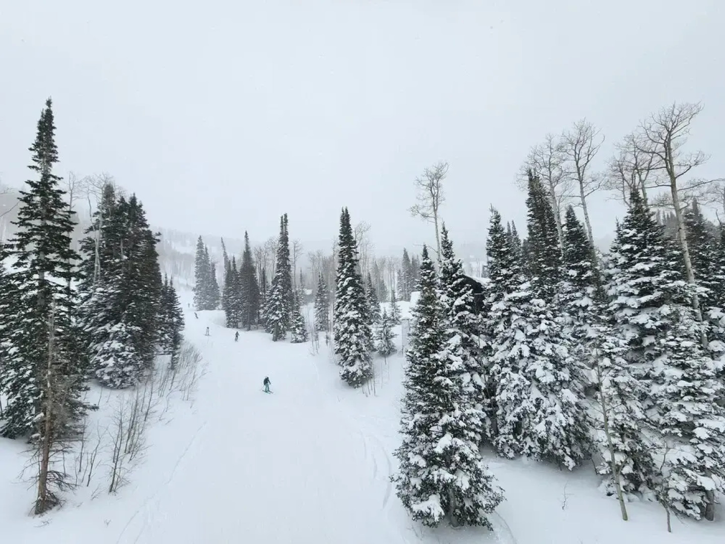 Villa 2057 1 Bed 1 Bath Full Kitchen 1 Bedroom Villa