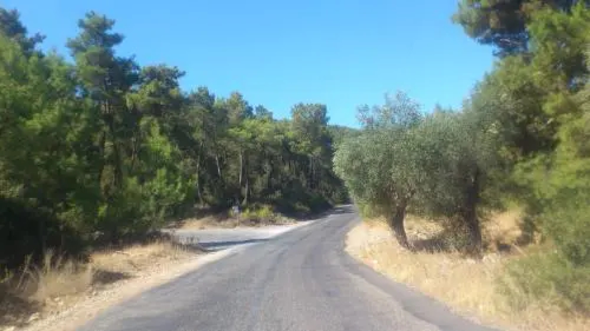 Ege Yildizi Holiday Homes