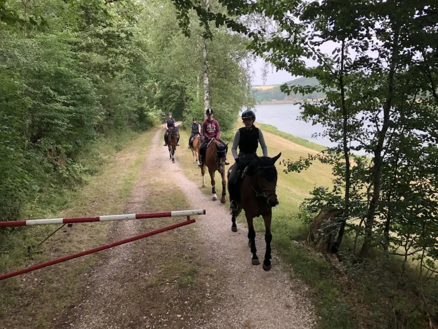 Appartements & Reitschule Fuchsenhof