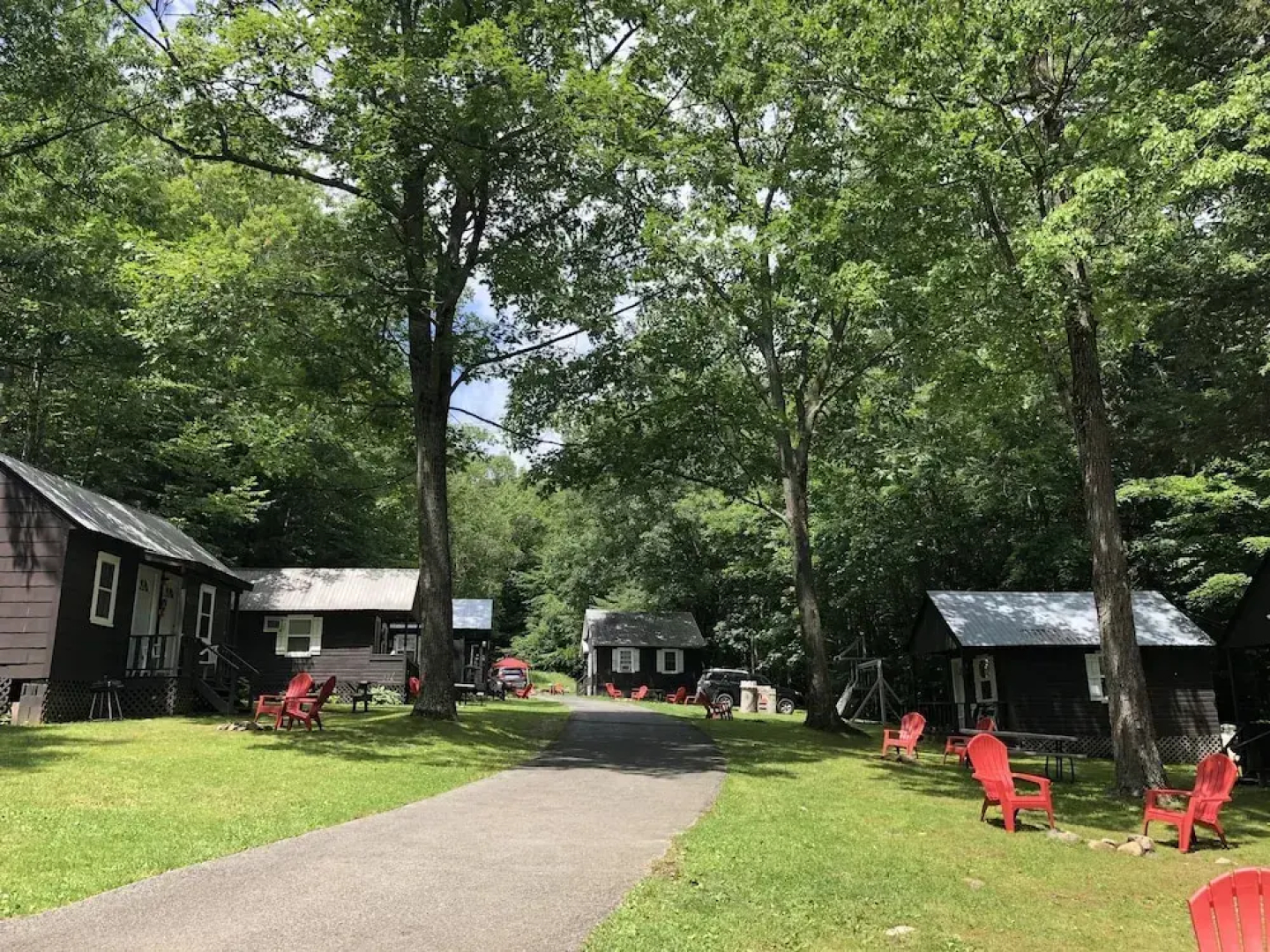 Lake George Bears Den