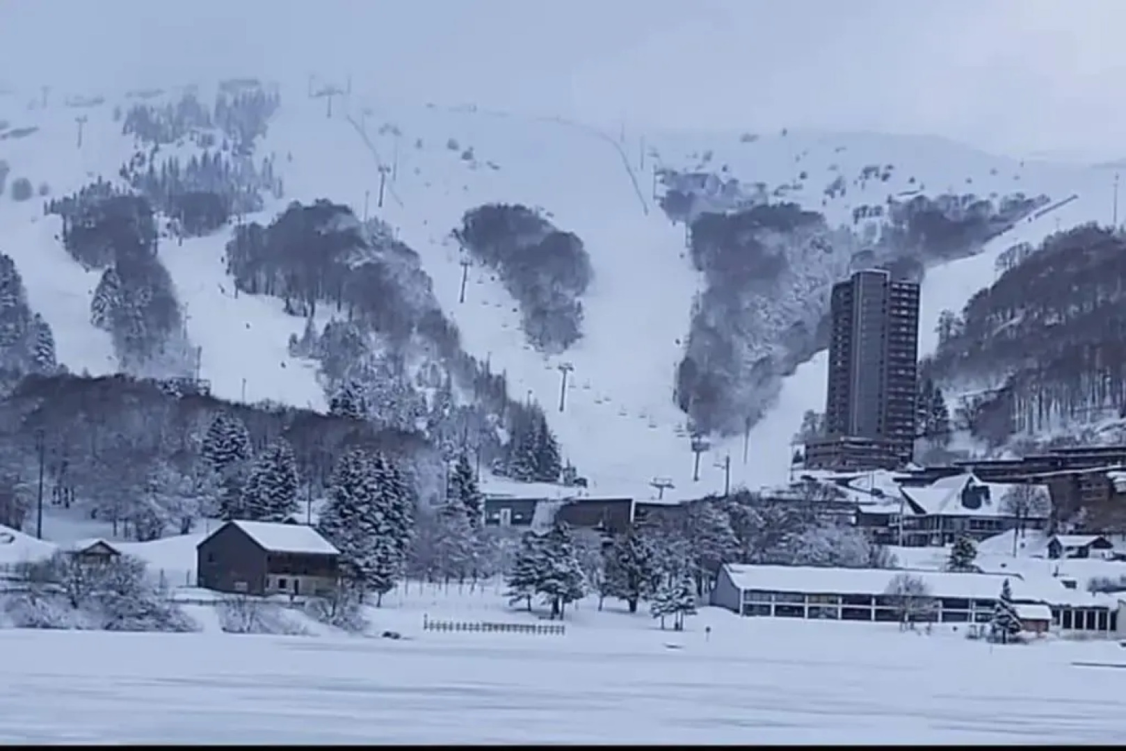 Studio de la Bichette