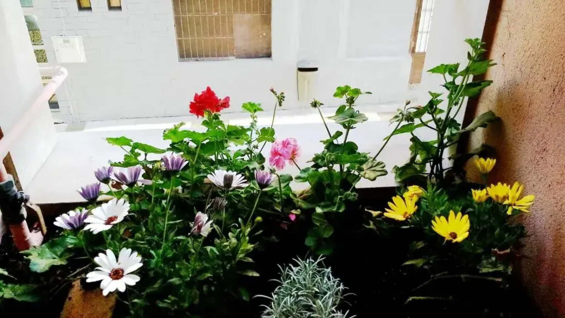 Apto Cimavilla Santa Cándida junto Plaza Mayor VUT-114-AS