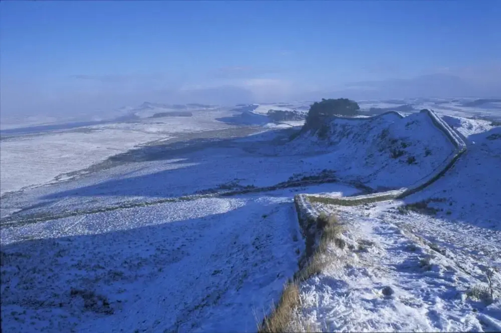 The Old School House