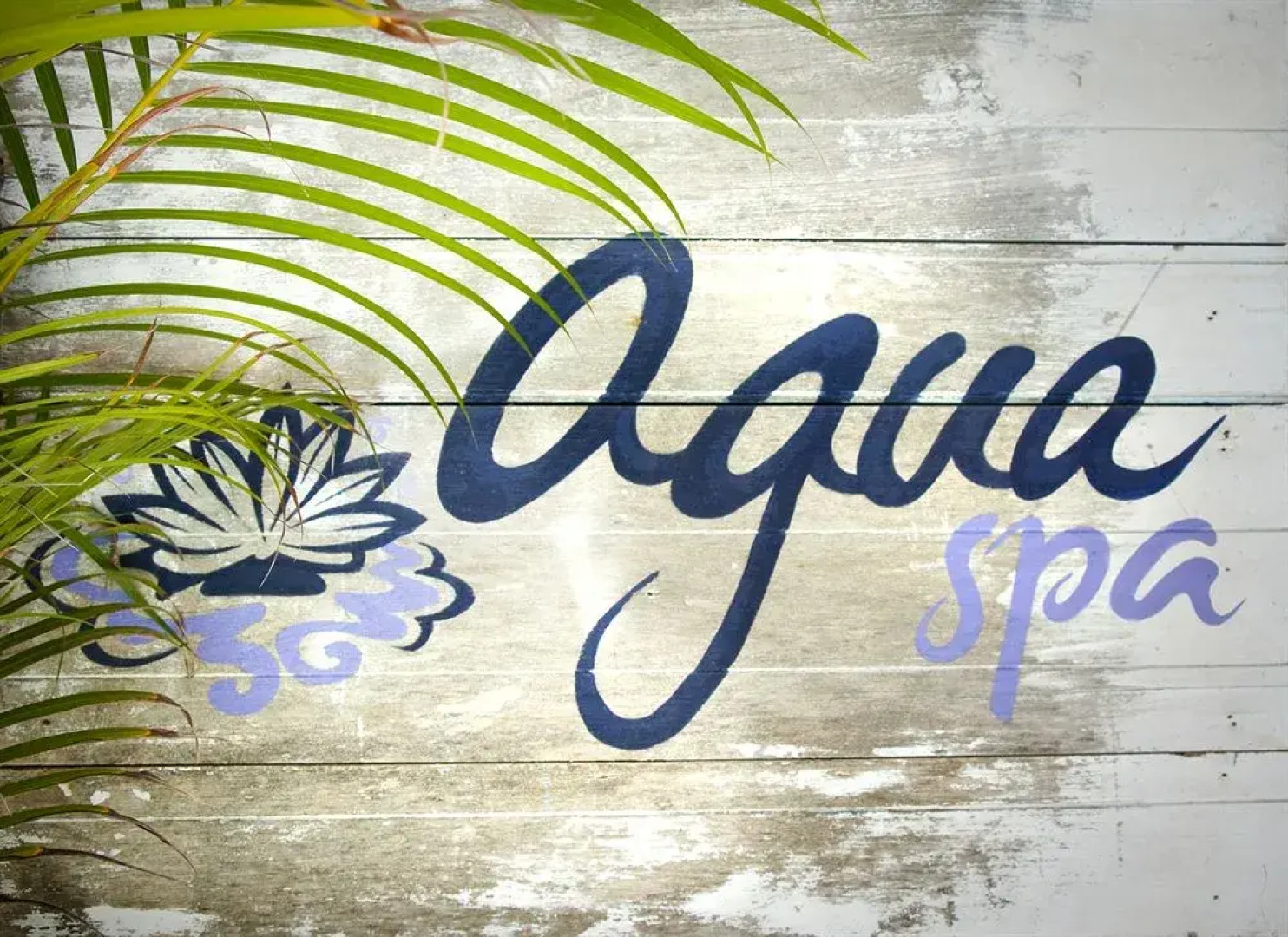 Casa Las Tortugas Petit Beach Hotel & Spa