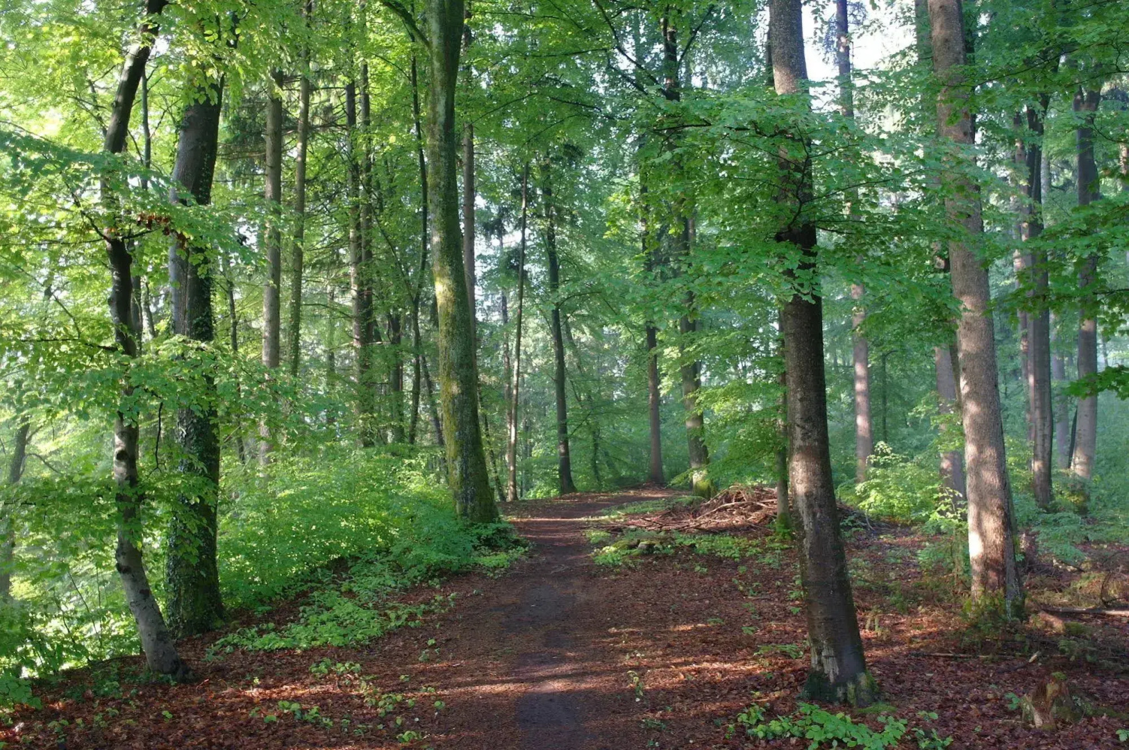 Waldgasthof Buchenhain