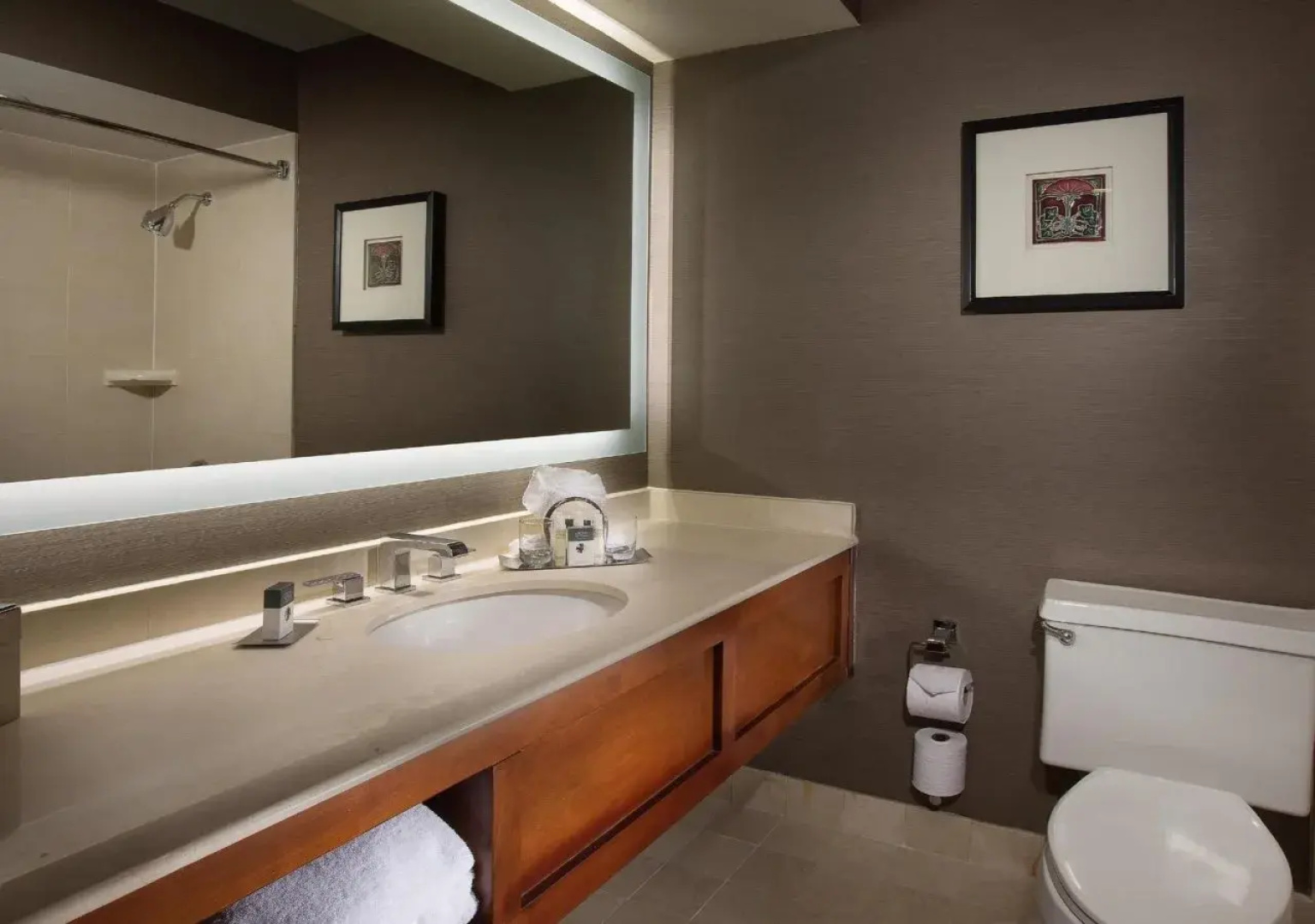 DoubleTree by Hilton Chicago - Oak Brook
