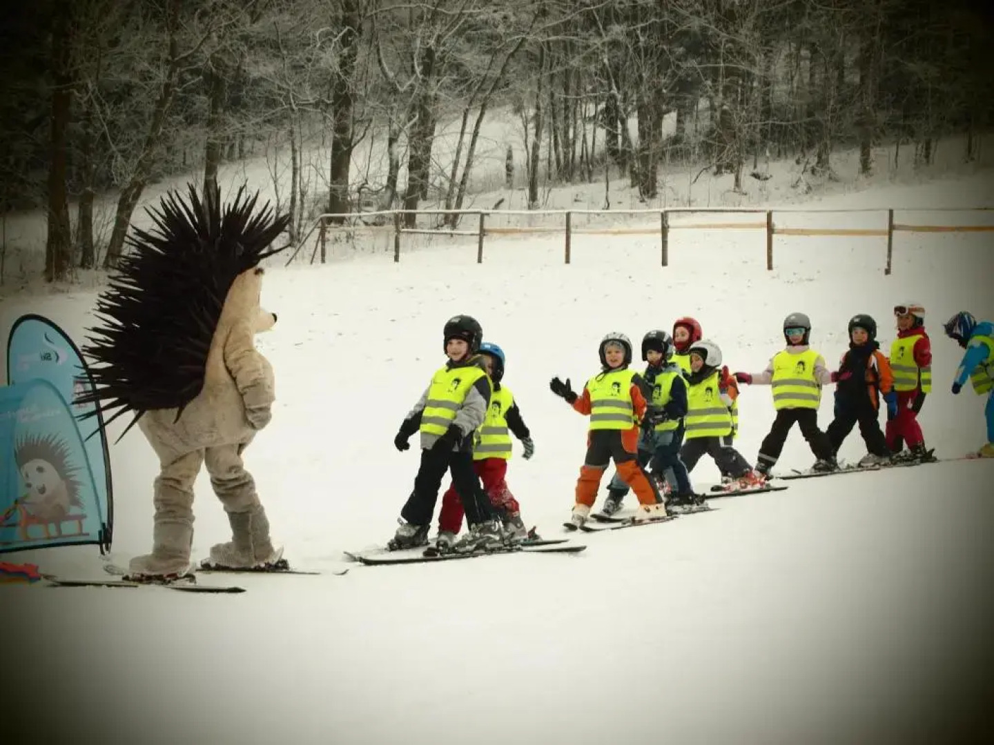 Wellness Hotel Sauna