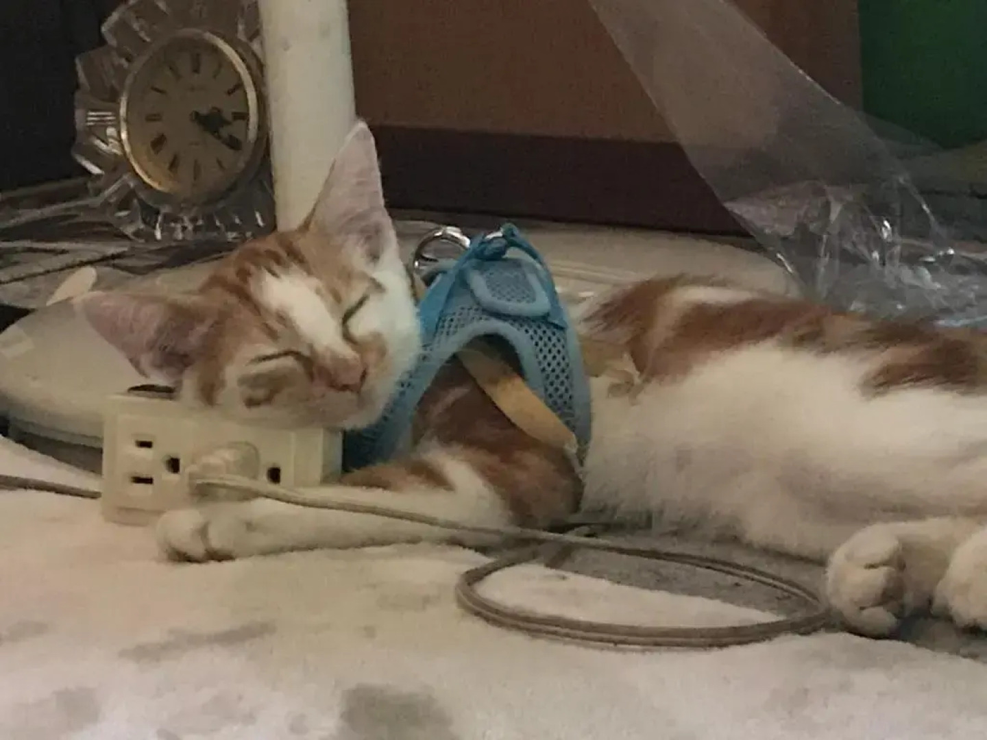 Guest House Salt Beach