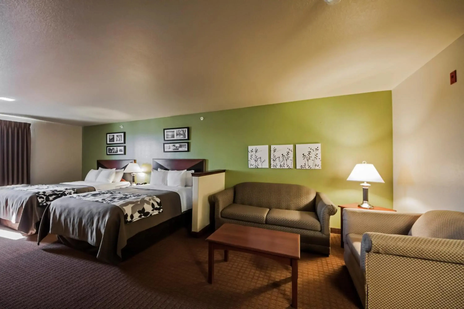 Sleep Inn & Suites Shamrock