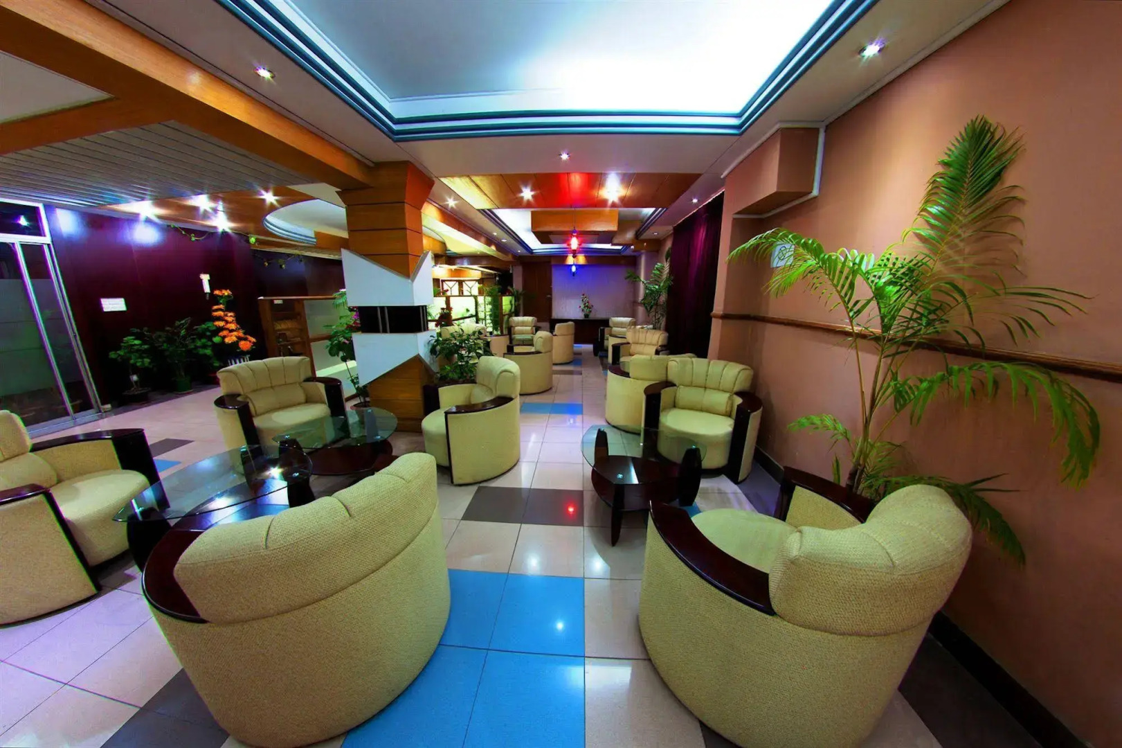 Hotel Tropical Daisy