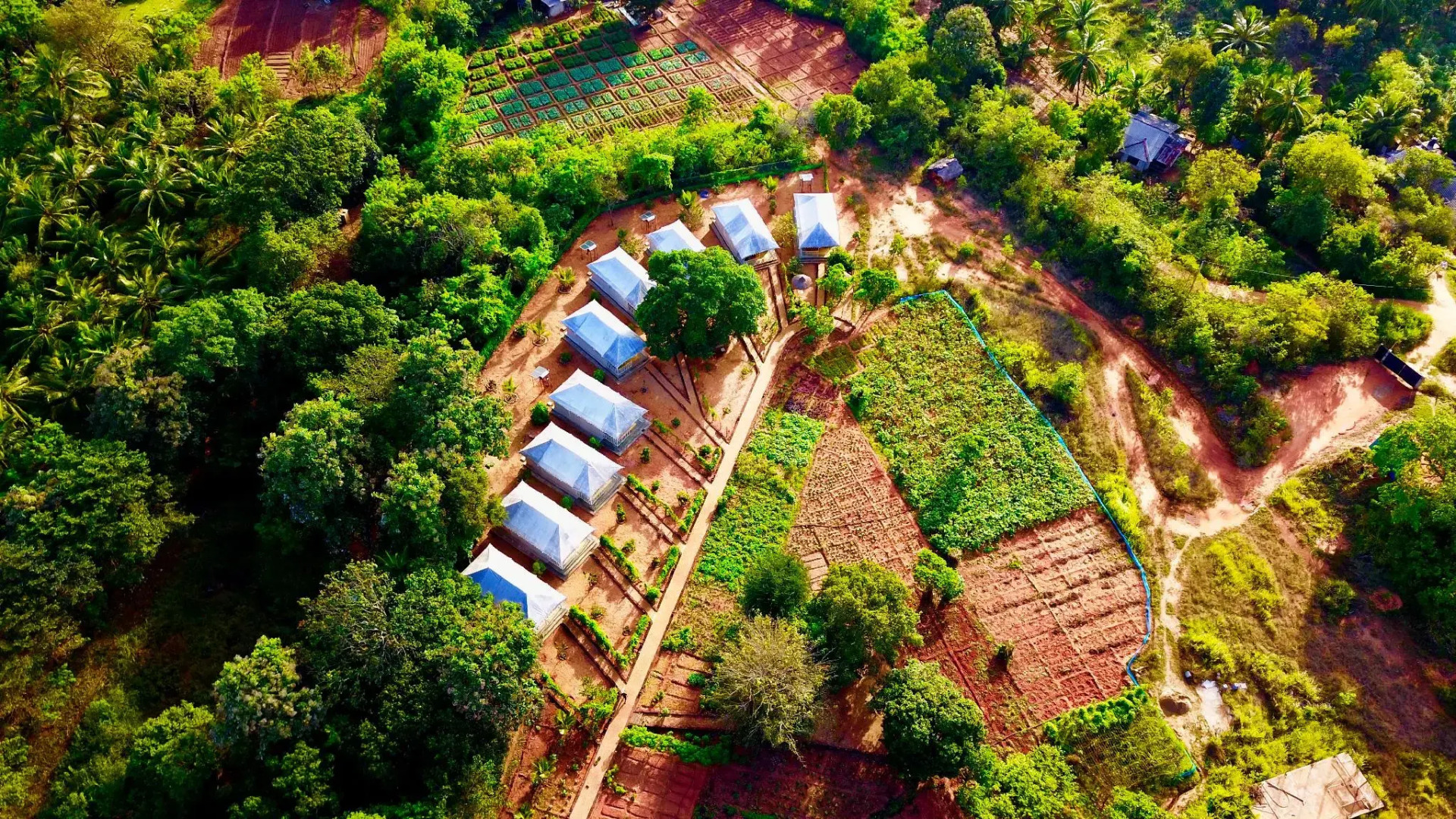 Rangiri Dambulla Resort