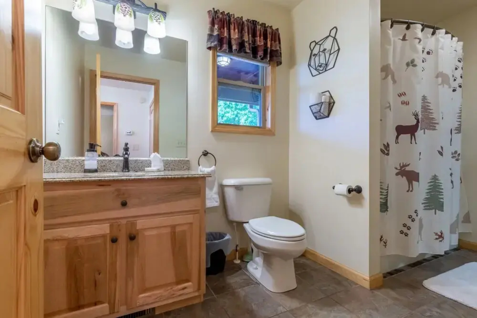 The Blue Ridge Mountain Top Cabin