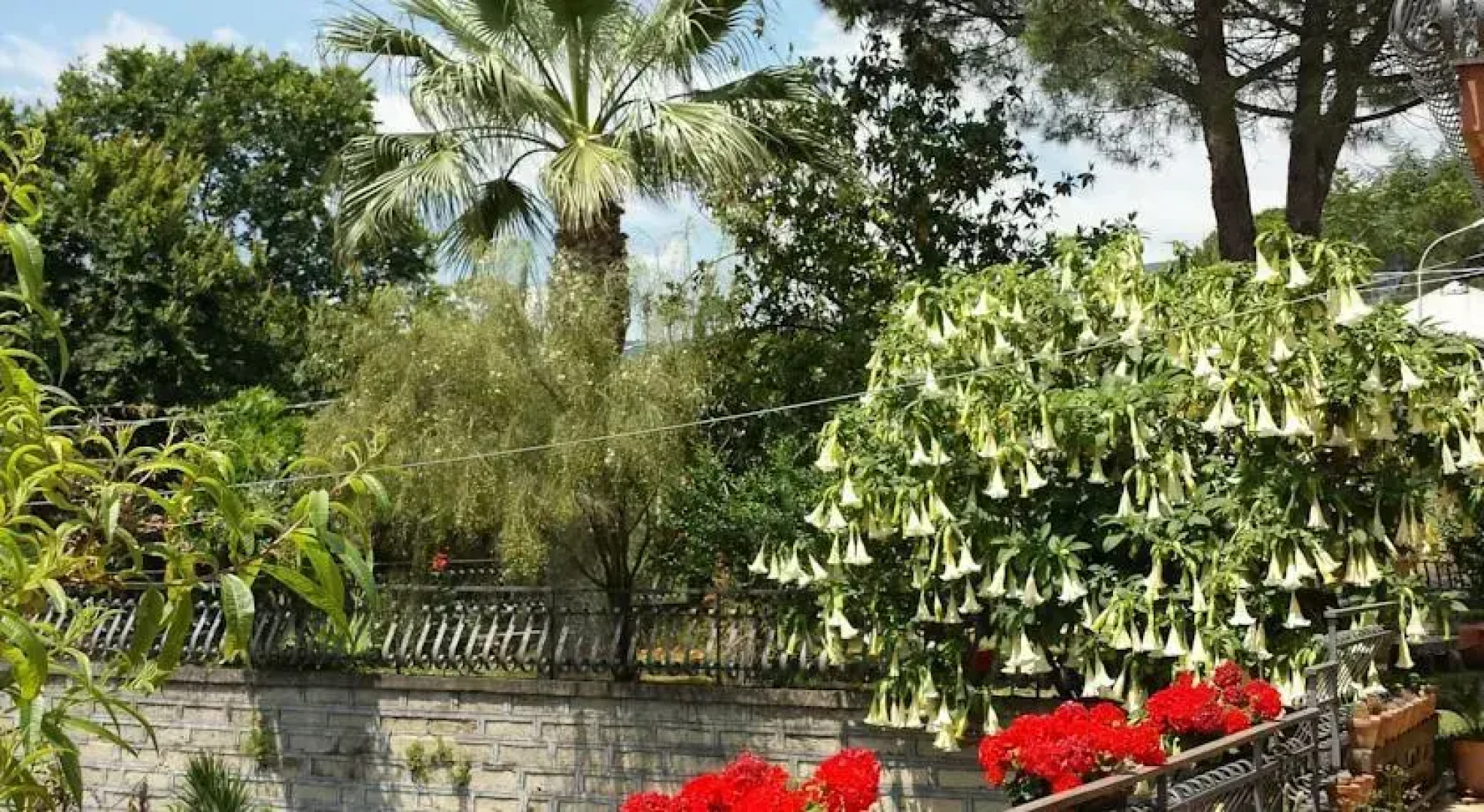 Etna Sweet Home