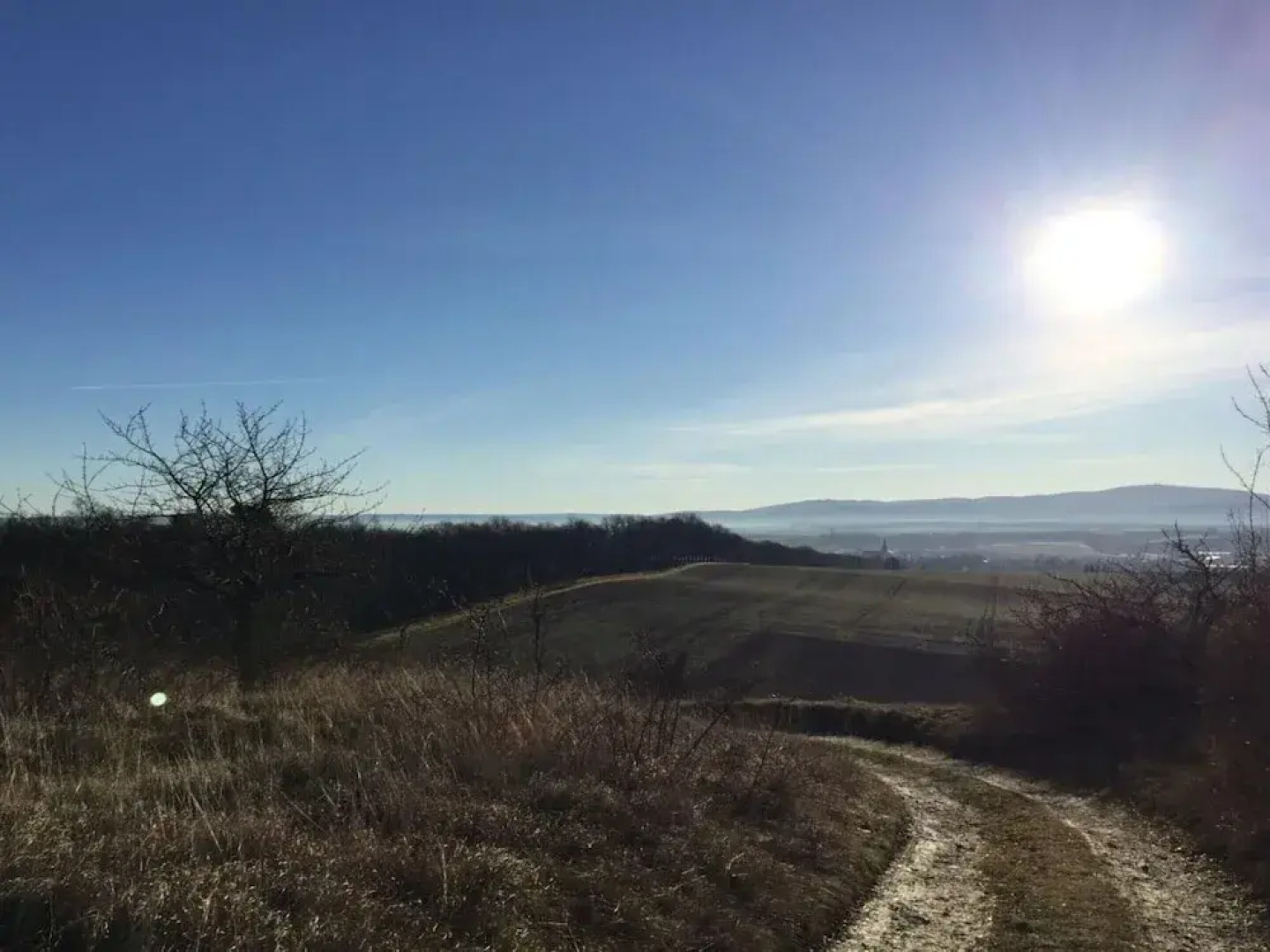 The old Cobbler House