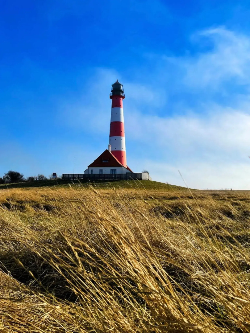 Ferienwohnung „Deichgeflüster“ nahe der Nordsee