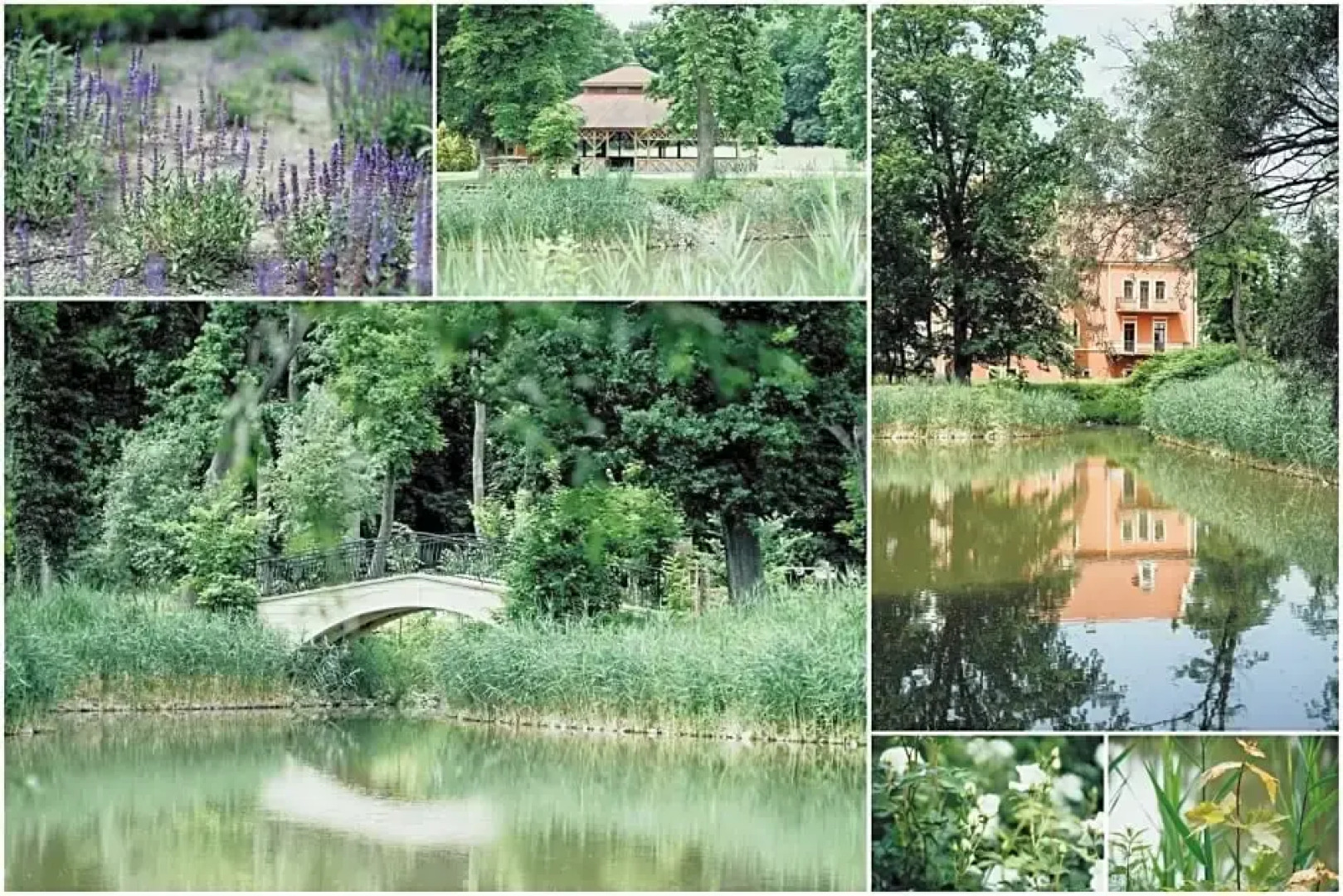 Hotel Pałac Krotoszyce