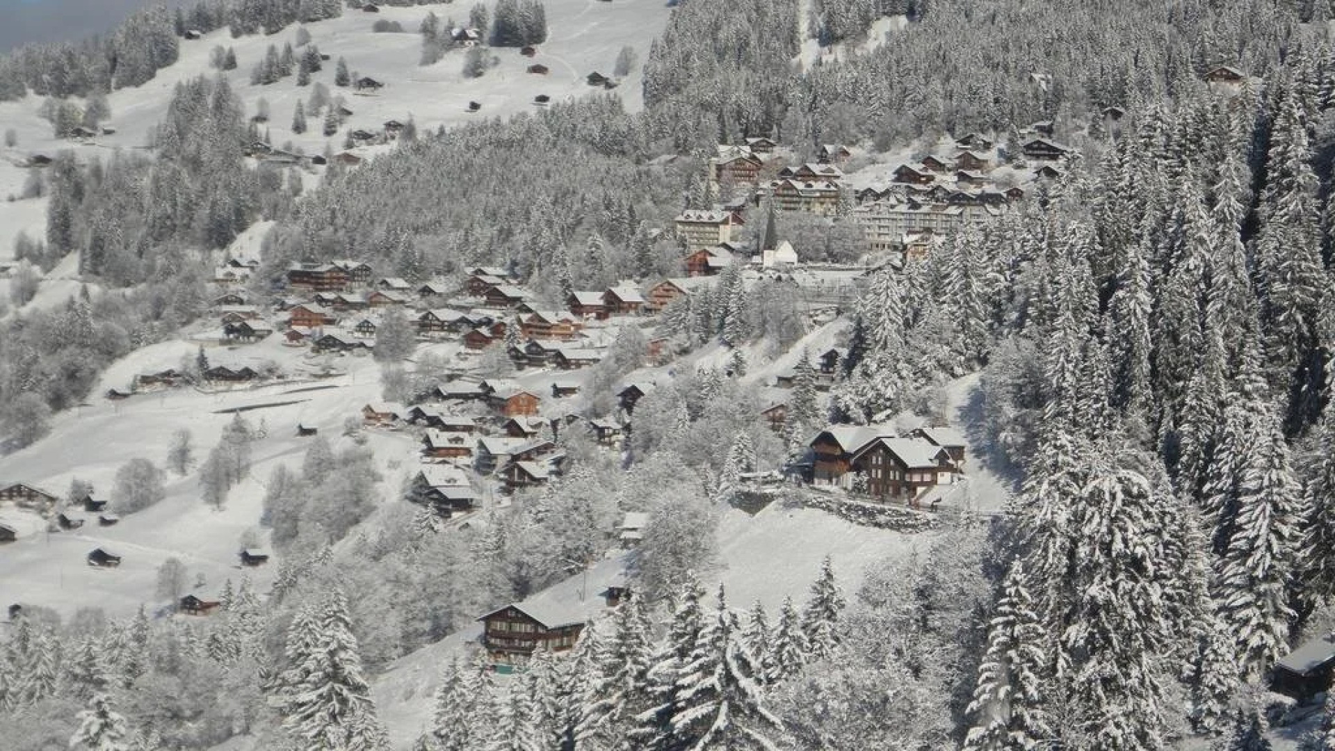 Chalet Aelpli Bed and Breakfast