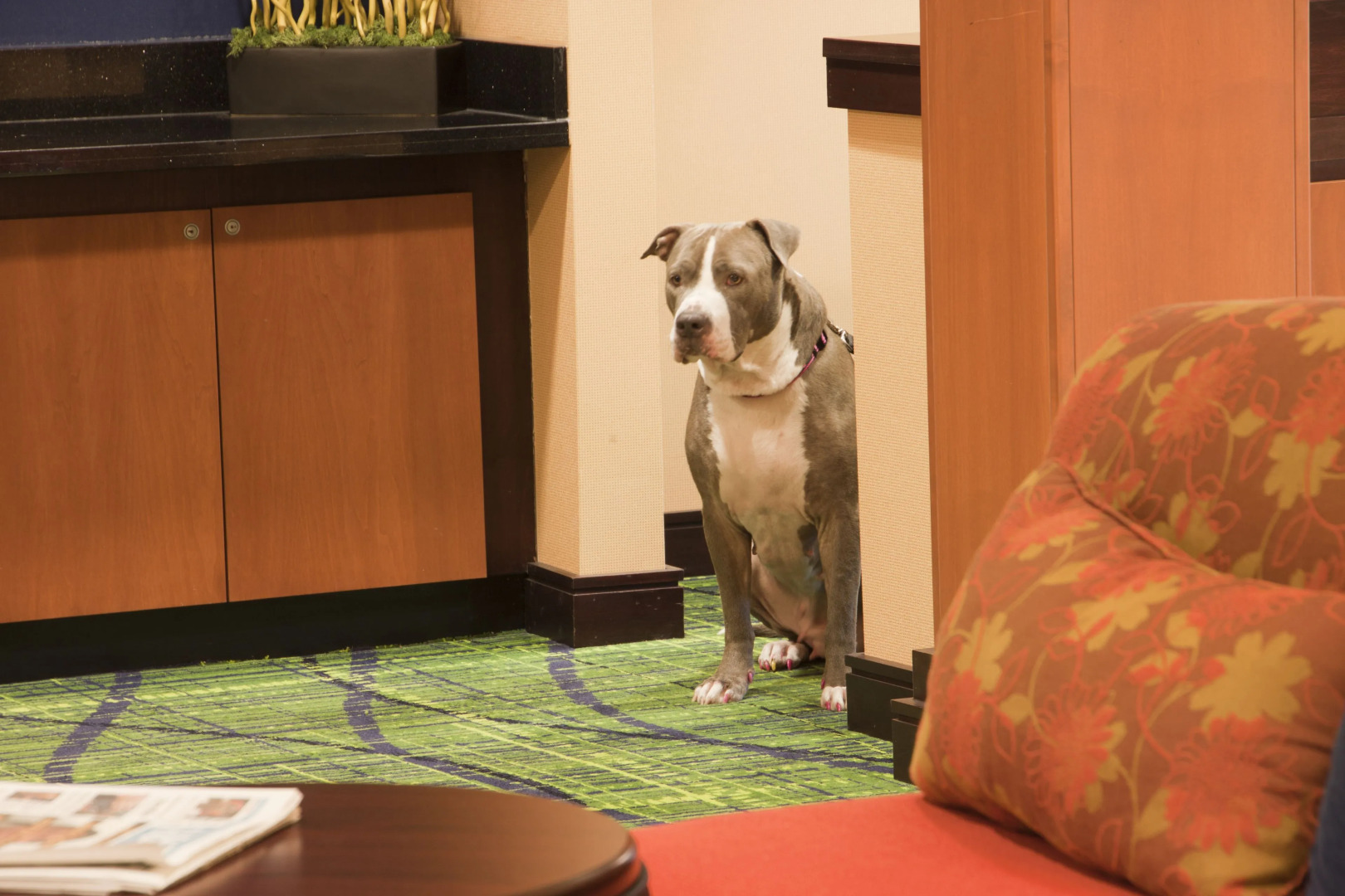 Fairfield Inn & Suites by Marriott Texarkana