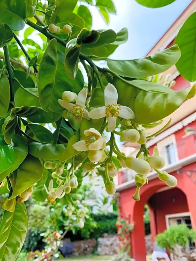 La Fabrique à Poupées