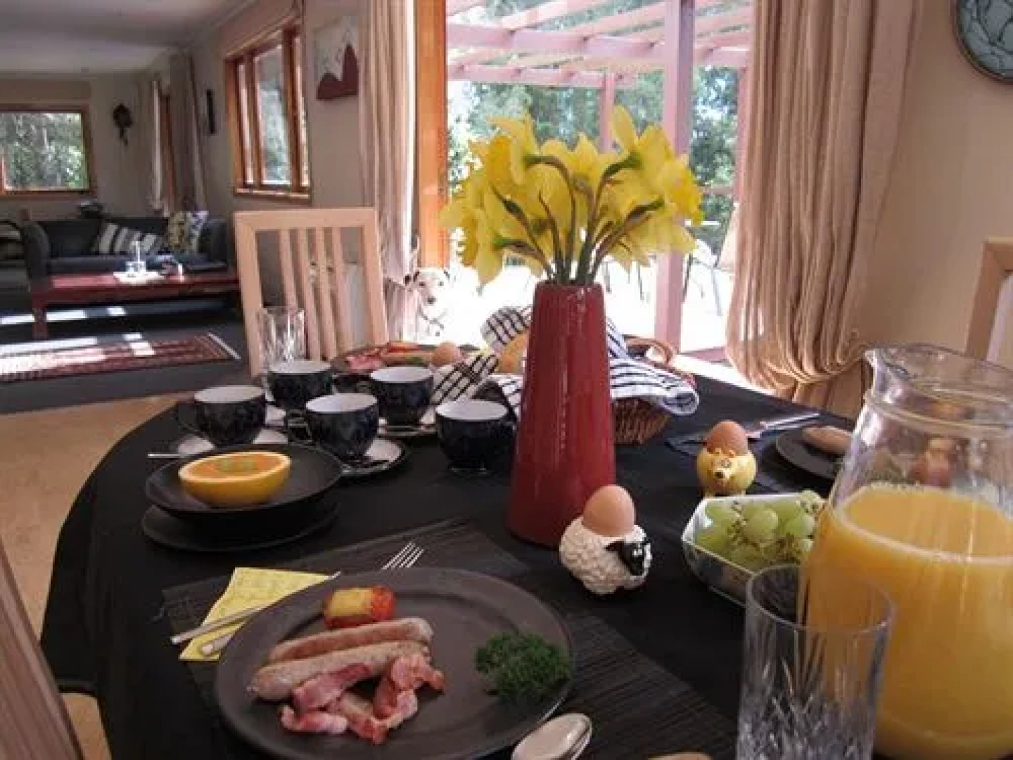 Dancing Trees Auckland