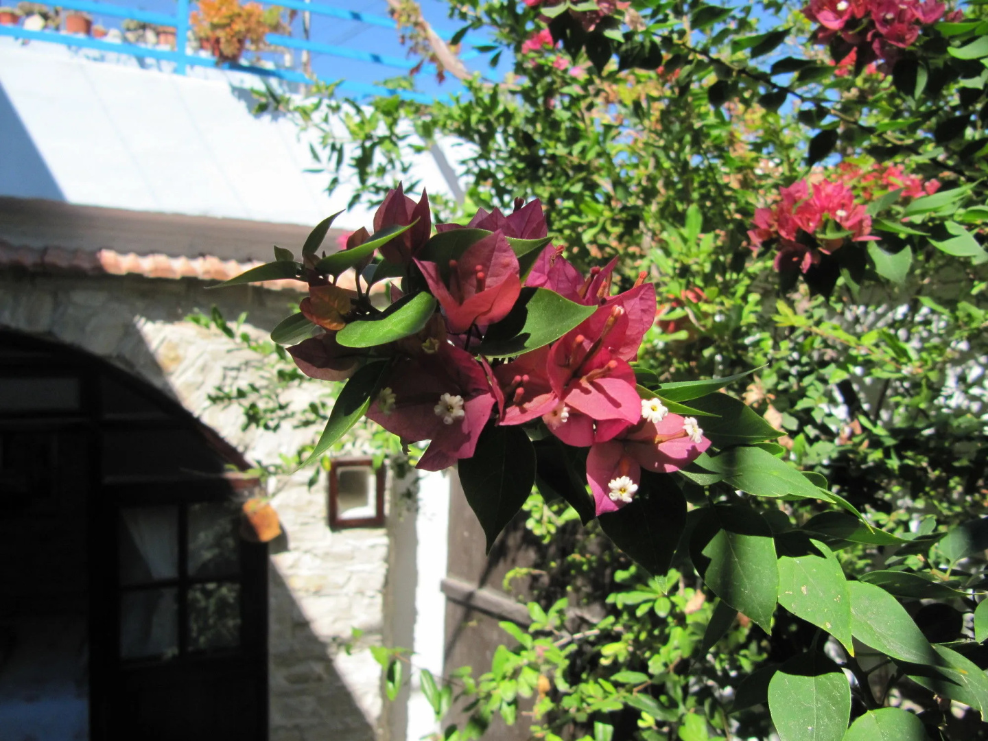 Stratos House