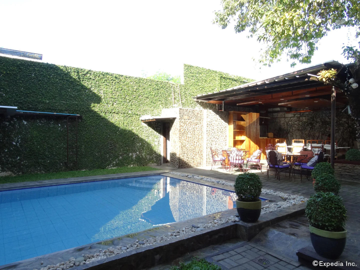 The Purple Tree Bed & Breakfast