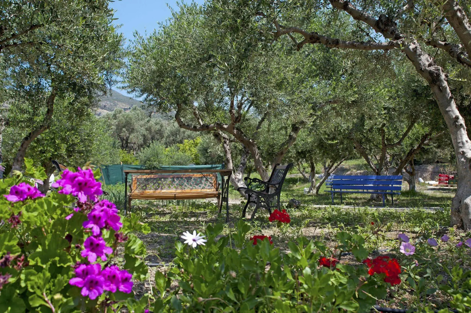 Aphrodite Samos Suites