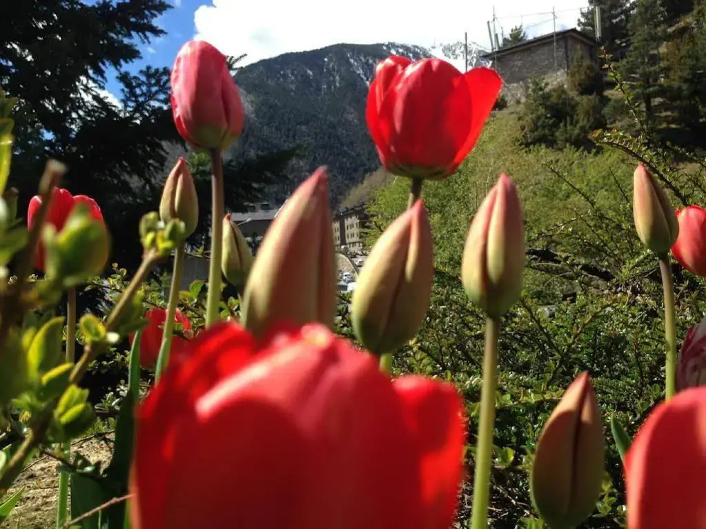 Hotel La Burna Panoràmic