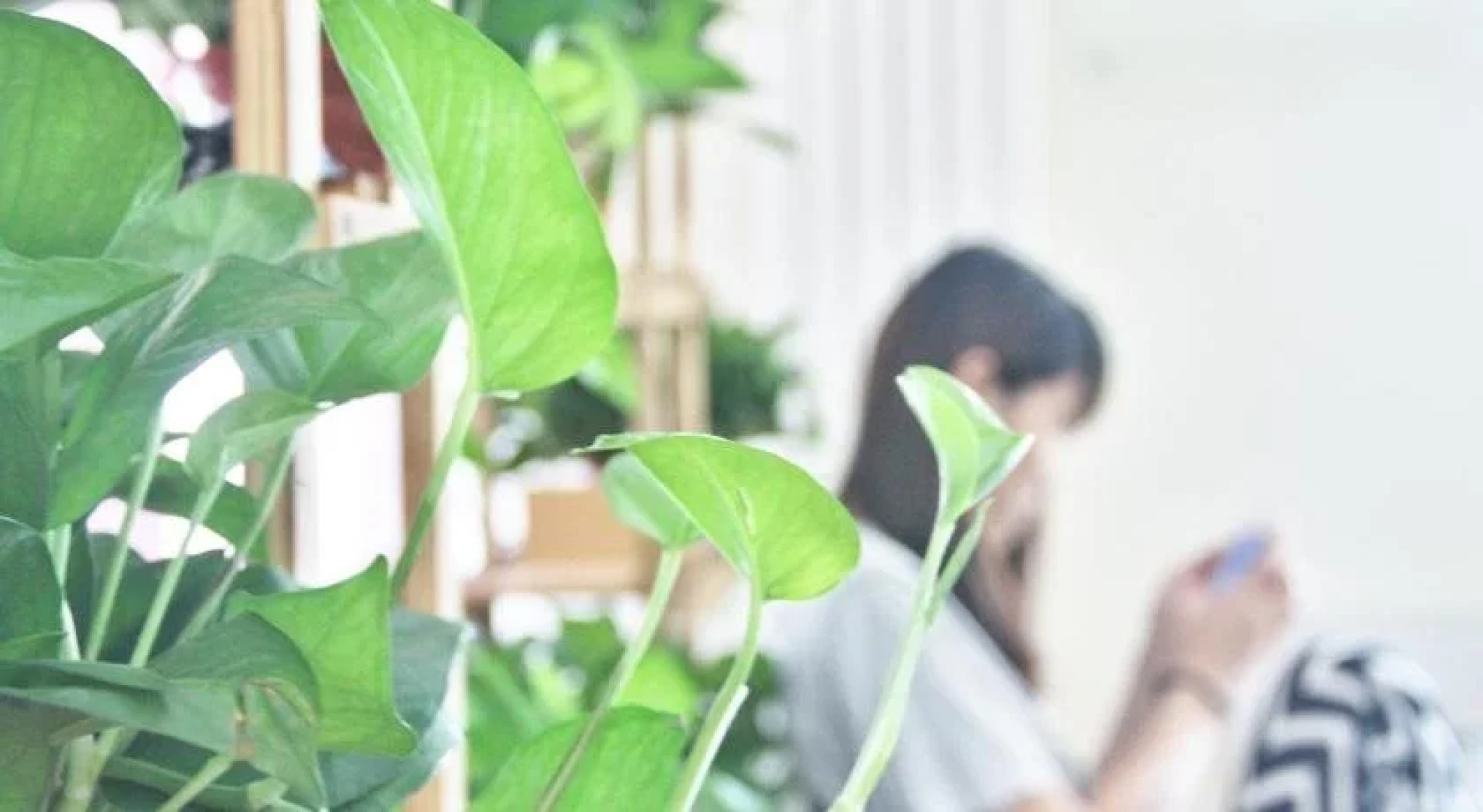 Luoyang As Home Youth Hostel