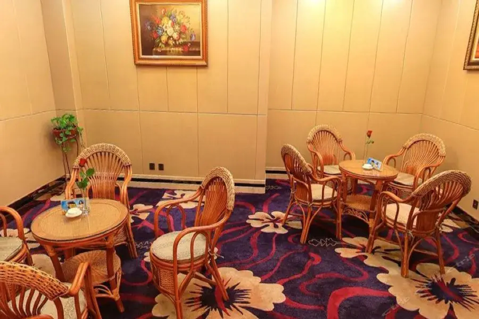 Gansu International