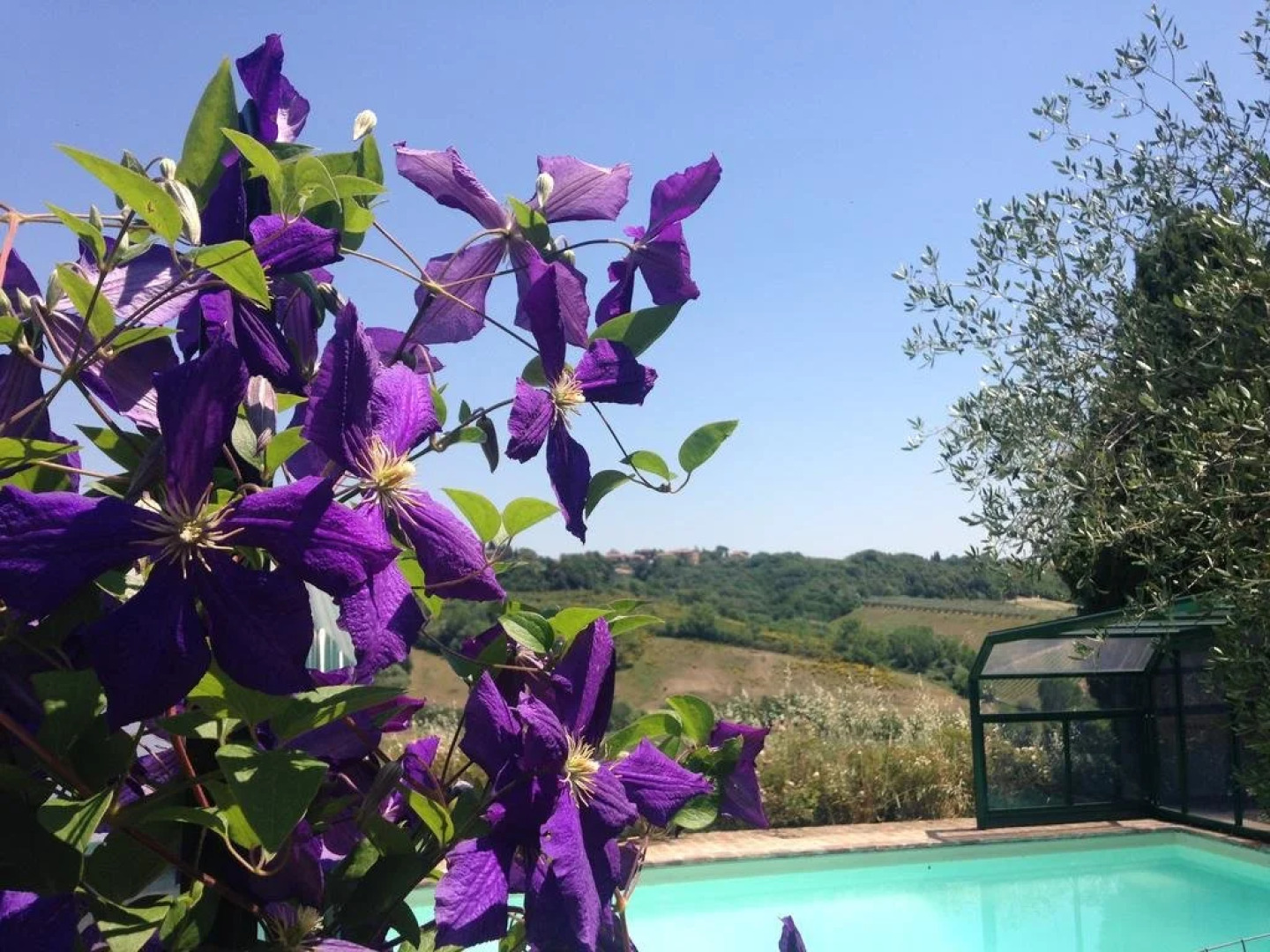 Agriturismo Biologico Antico Uliveto