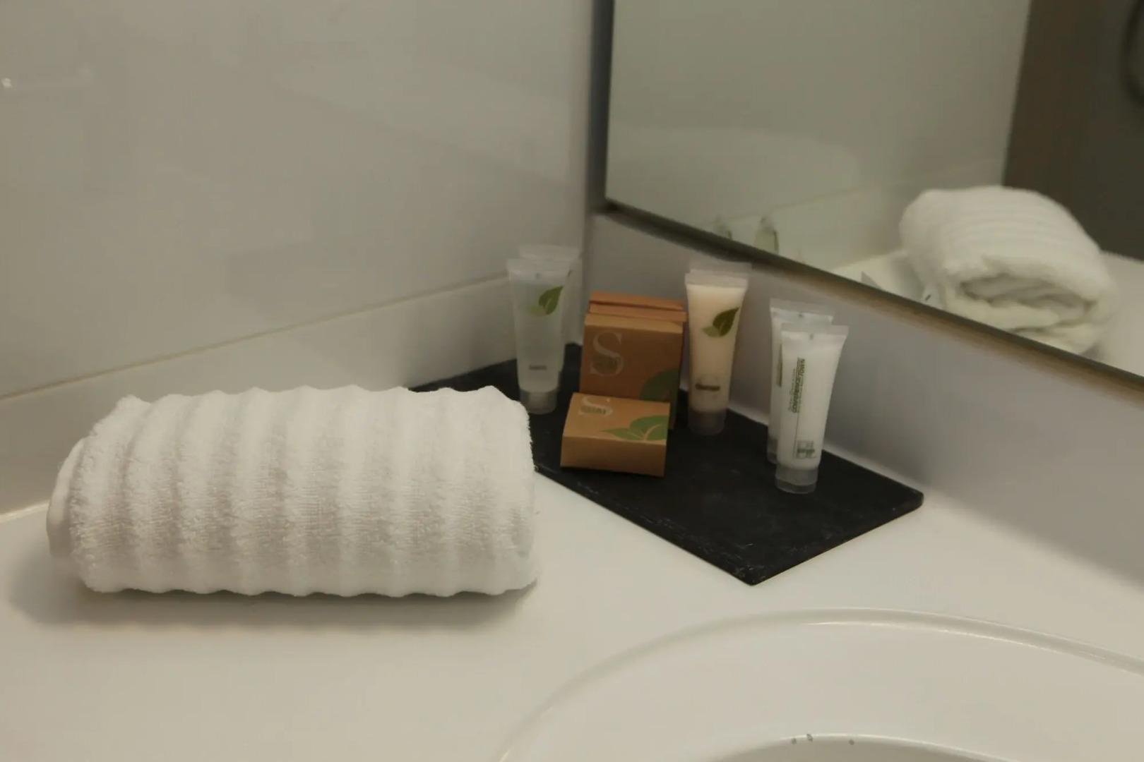 Hotel Bosque de Reñaca