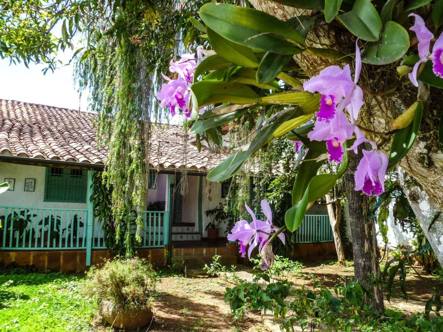 Hotel Mision Santa Barbara RNT 4799