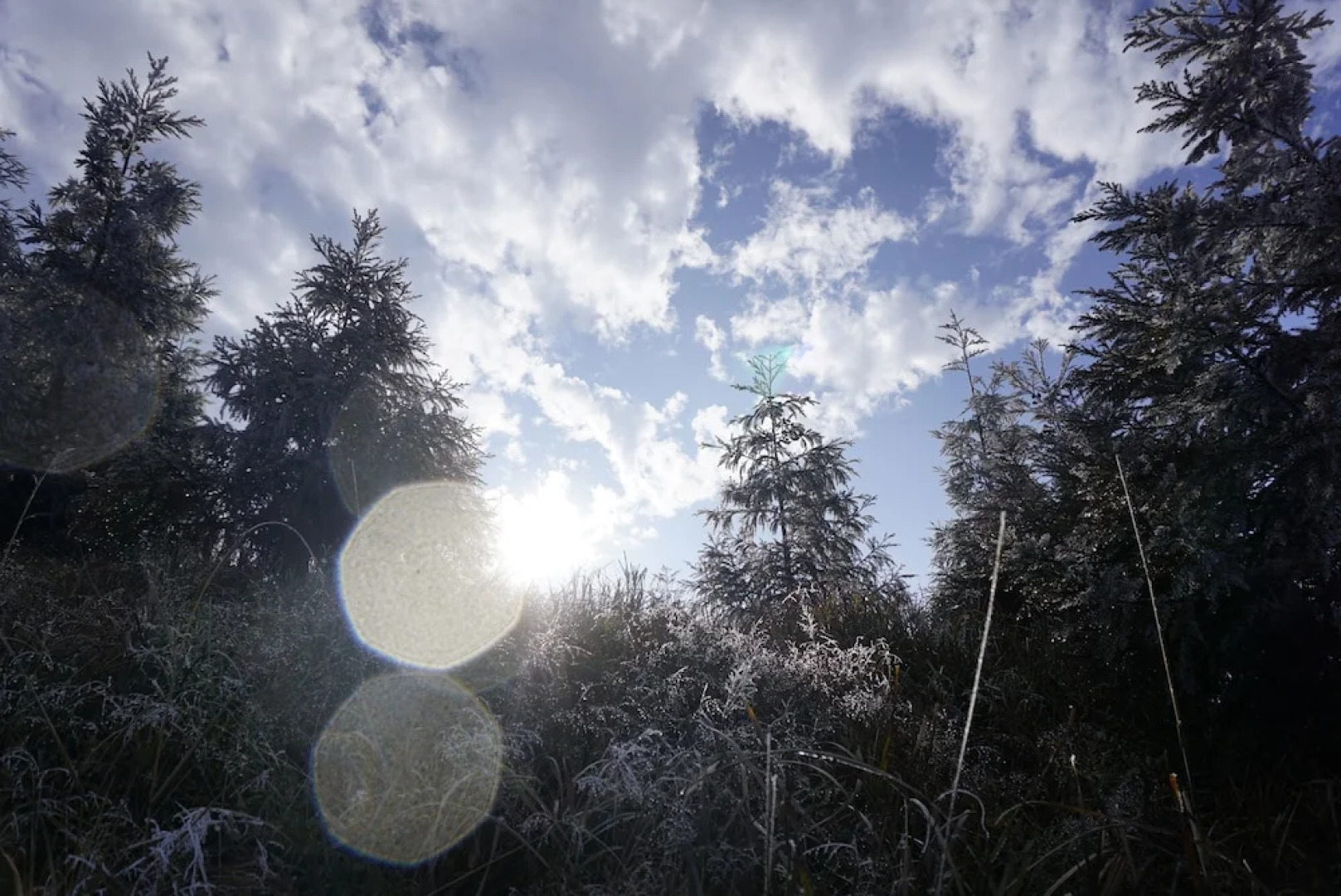 Longsheng Longji Rice Terrace Haonongfu Inn