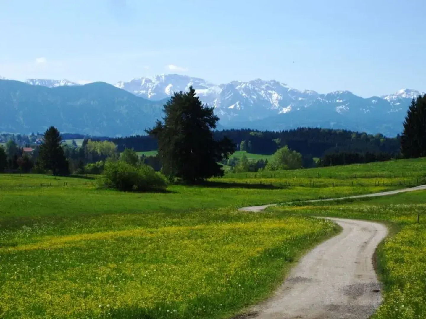 Sandra Comfortable Holiday Residence