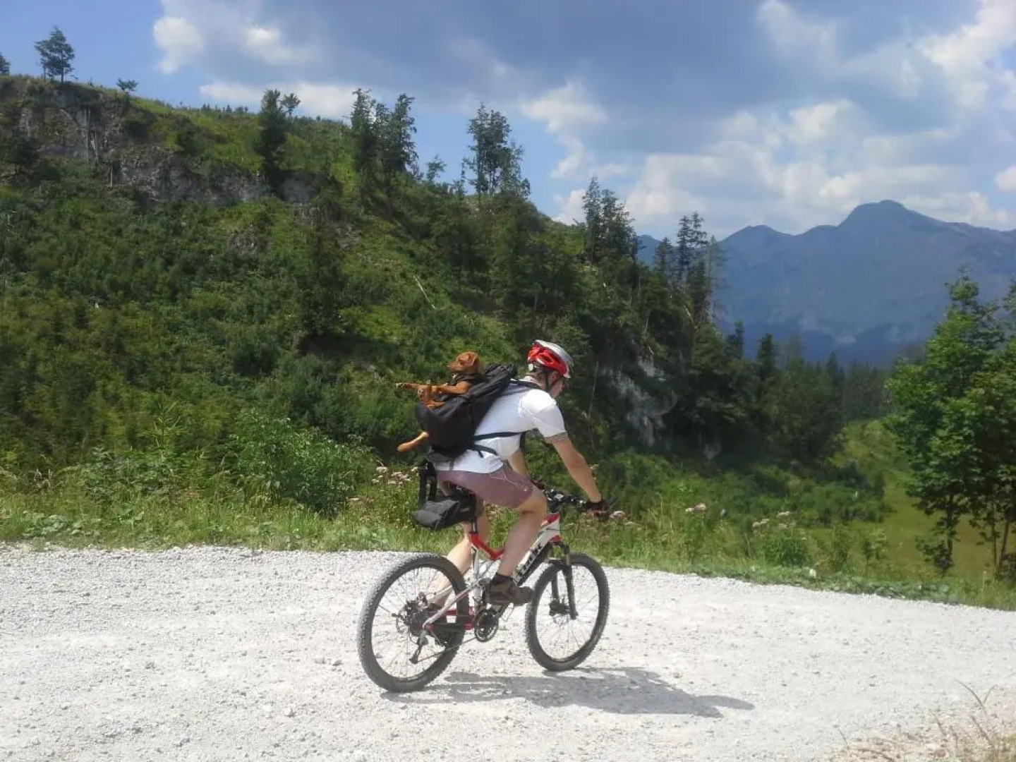 Good Vintage Apartment