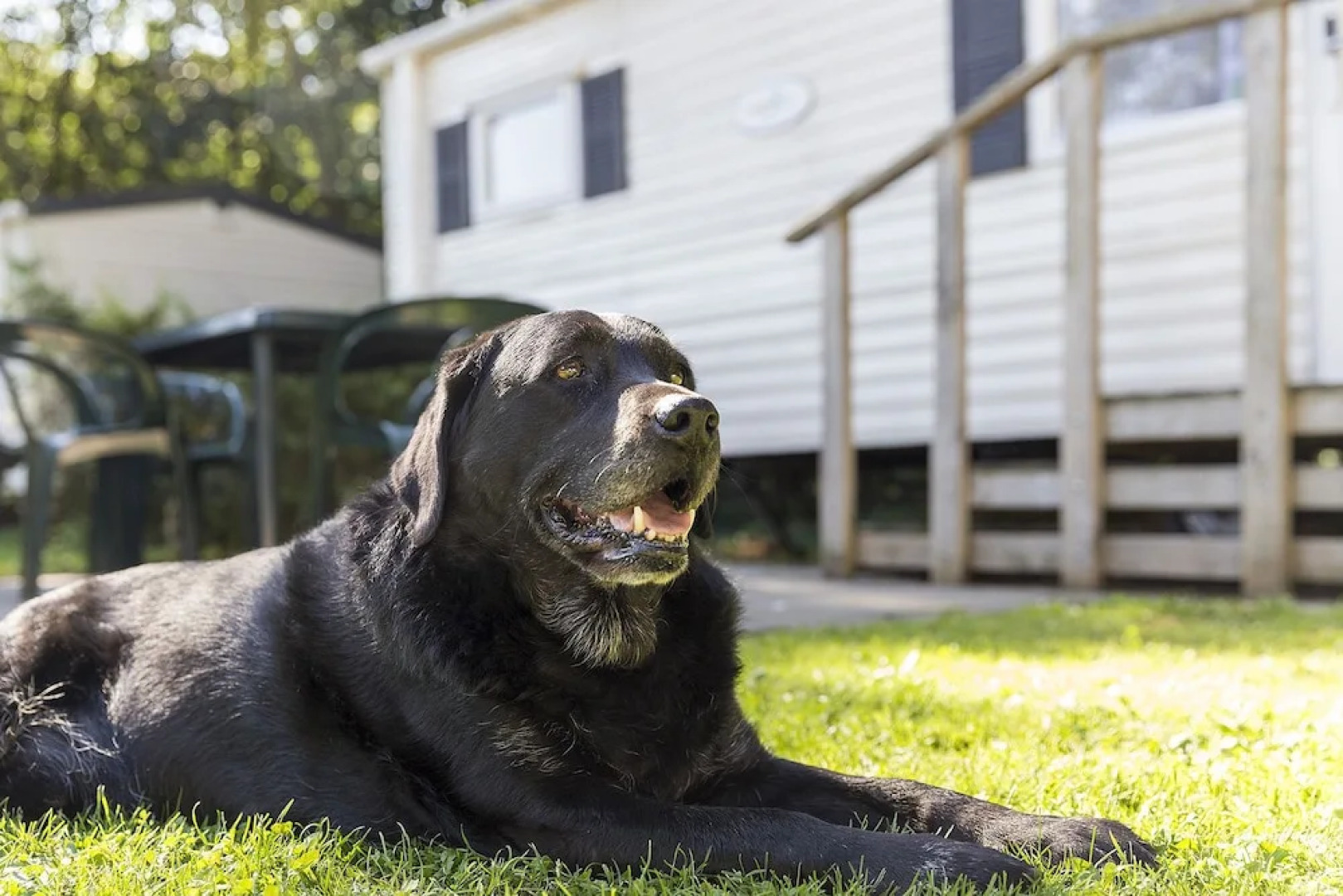 Oostappen Vakantiepark De Berckt