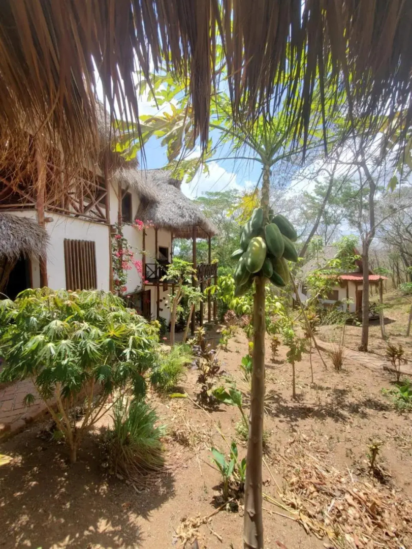 Tuani Lodge