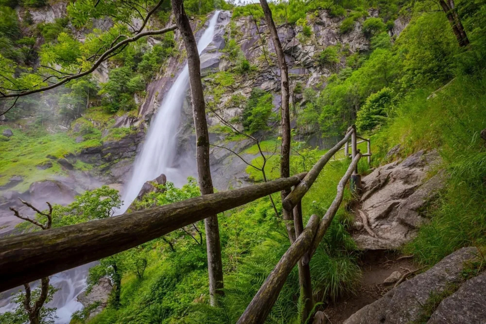 Garden On The Lake in Gambarogno Vira