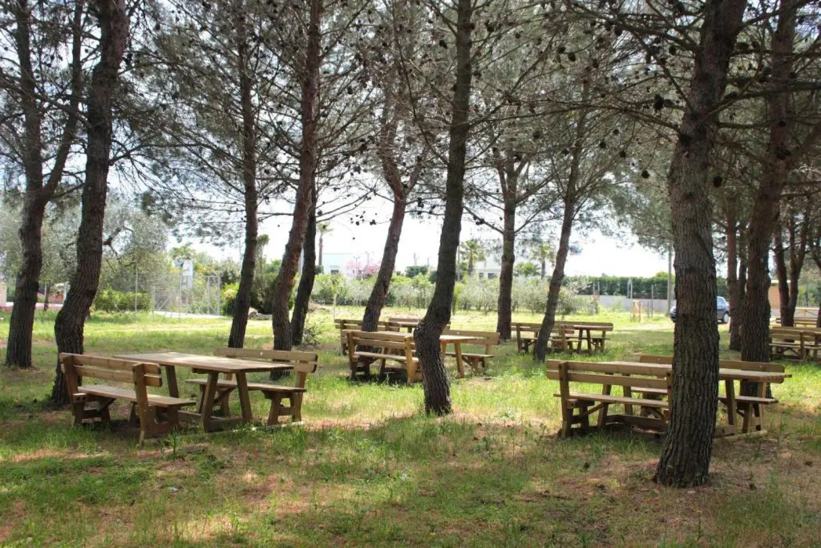 Il Praedio Della Reale